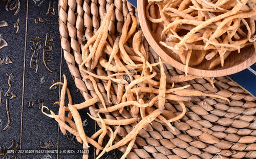 太子參高清圖片素材 食品餐飲與飲食制作的創(chuàng)新應(yīng)用